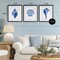 Stupell Industries Blue Chinoiserie Seashells 3pc Framed Print Under Glass Set, design by Courtney Prahl